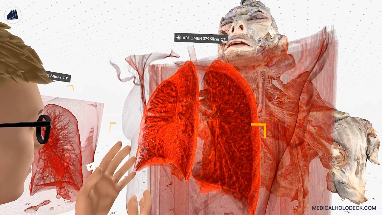 Exploring the human lungs thumbnail 3